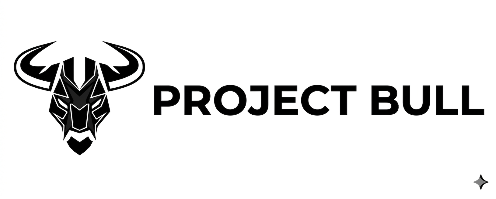 project-bull.com